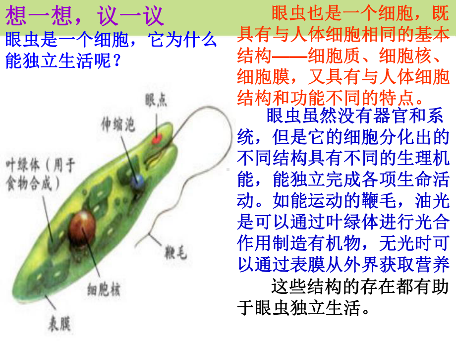 七年级生物上(苏教版)单细胞生物课件2.pptx_第2页