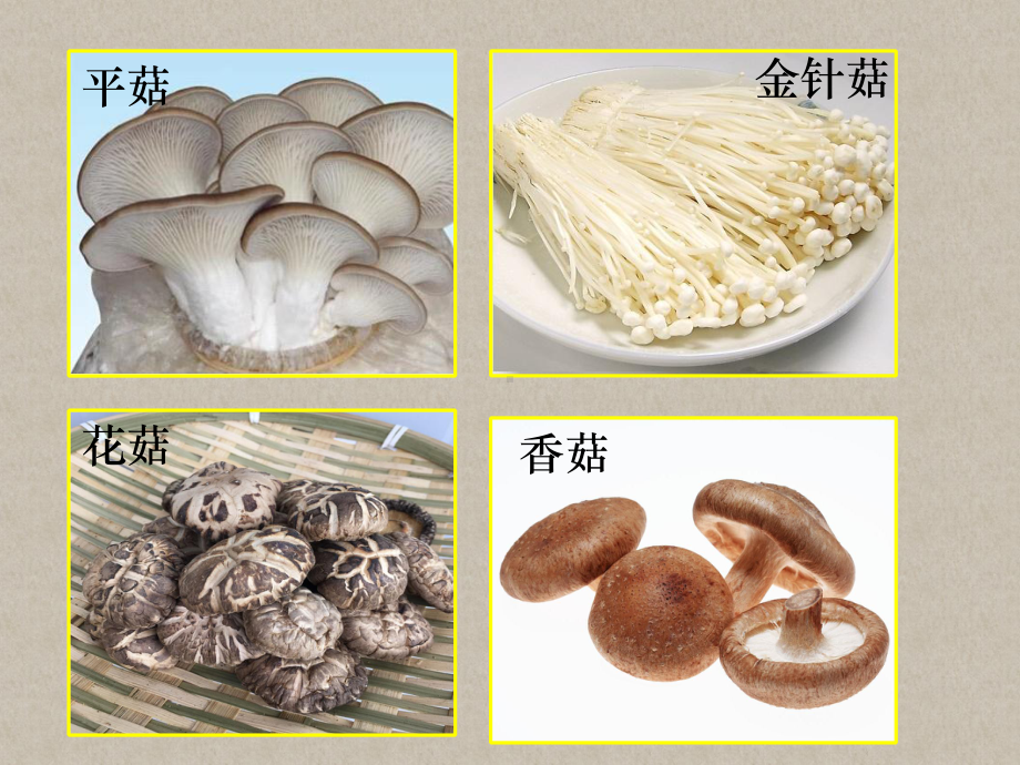 八年级(上)生物：真菌课件.ppt_第1页