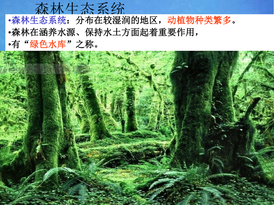 初中生物获奖课件 生态系统课件.ppt_第3页