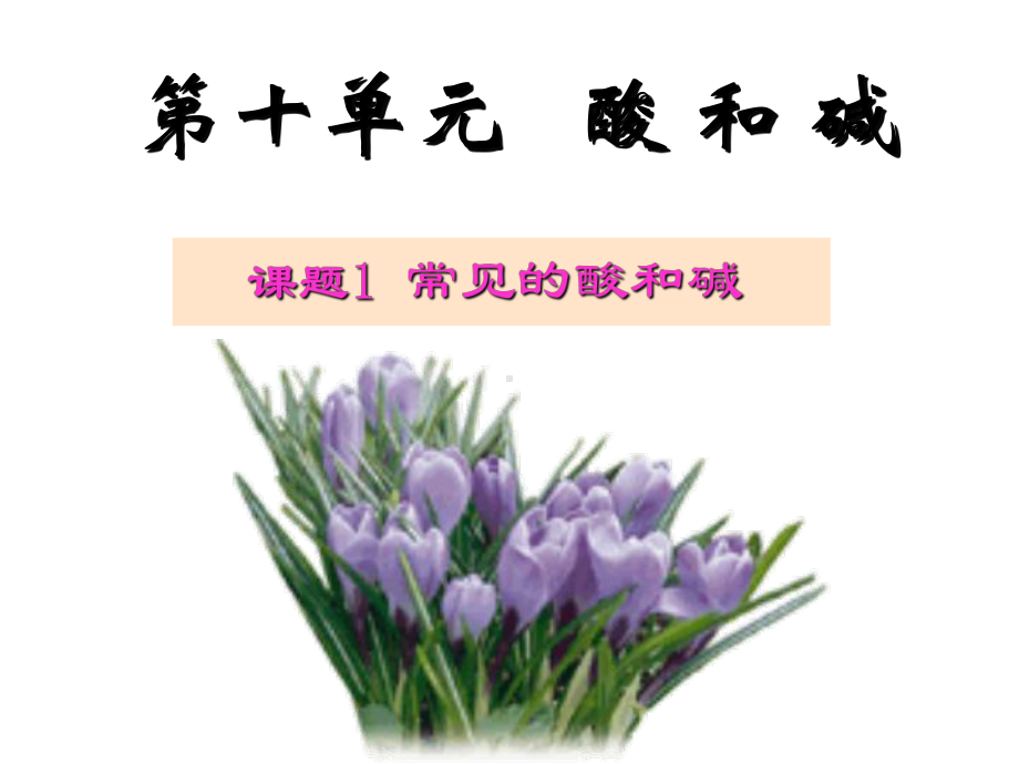 101 常见的酸和碱课件(人教版九年级下).ppt_第2页