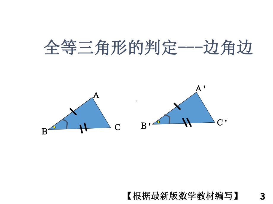 华东师大版数学八年级上册3边角边课件.ppt_第3页