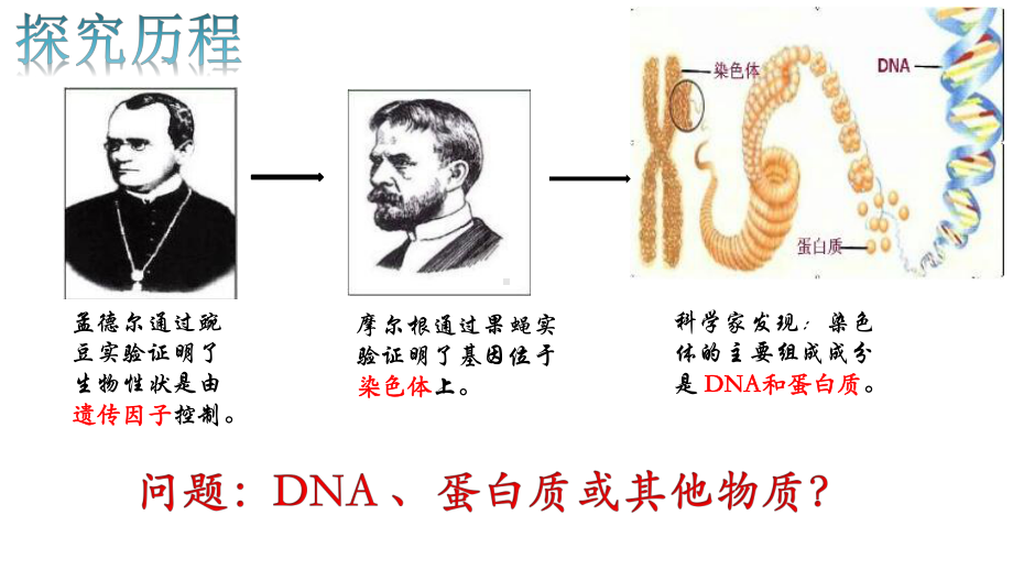 人教版生物新教材《DNA是主要的遗传物质》完美版1课件.pptx_第2页