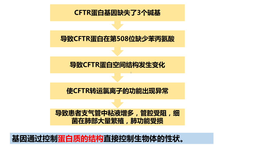 人教版高一必修二第4章 第2节 基因表达与性状的关系课件.pptx_第3页