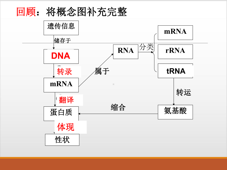 42 基因表达与性状的联系优秀课件.ppt_第1页