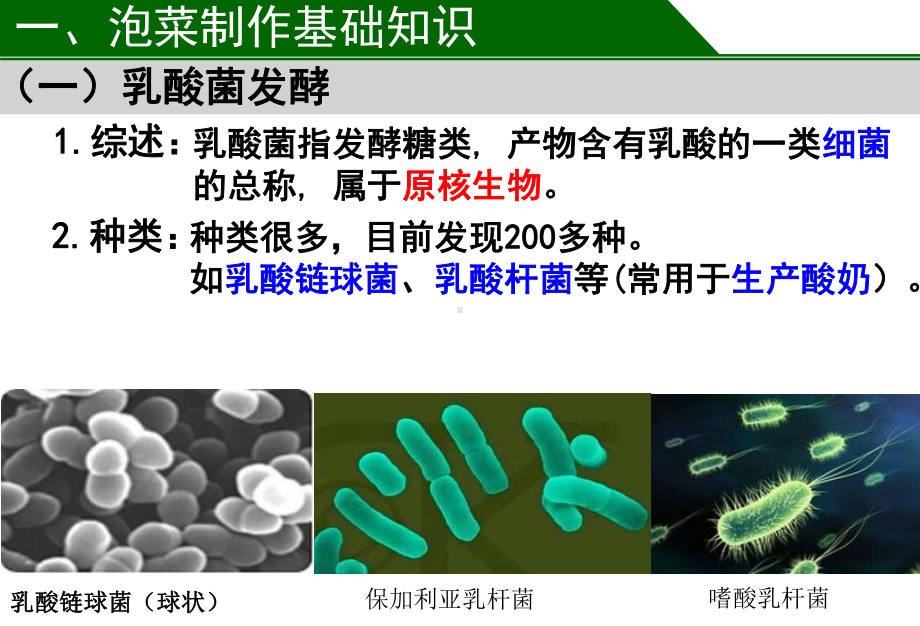 人教版高中生物选修一13制作泡菜并检测亚硝酸盐含量课件.ppt_第3页