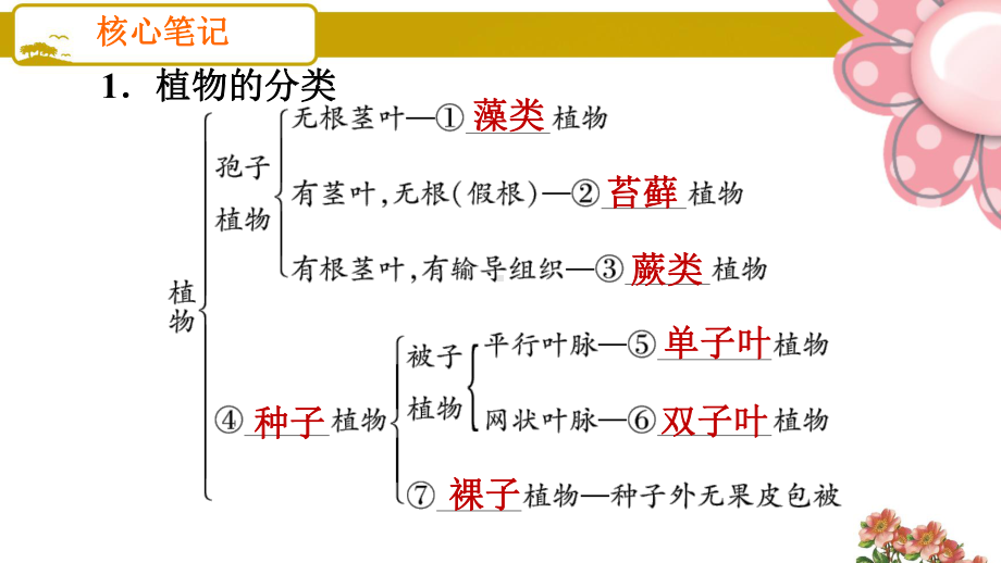 人教版八年级生物上册11 尝试对生物进行分类课件.ppt_第2页