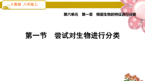人教版八年级生物上册11 尝试对生物进行分类课件.ppt
