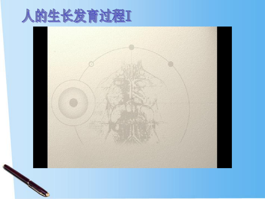 七年级生物下册第八章第二节 人的生长发育和青春期课件 苏教版.ppt_第3页