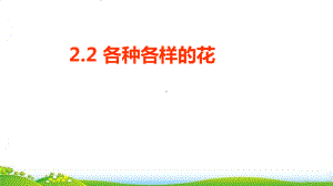 （教科版）科学《各种各样的花》 优秀课件.ppt