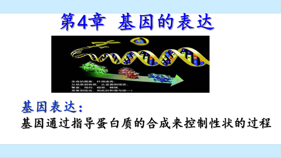人教版高中生物必修二第四章第1节《基因指导蛋白质的合成》课件.pptx_第3页