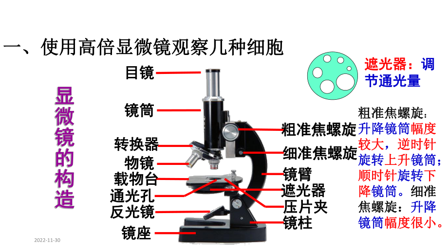 人教版新教材《细胞的多样性和统一性》教学课件1.pptx_第3页