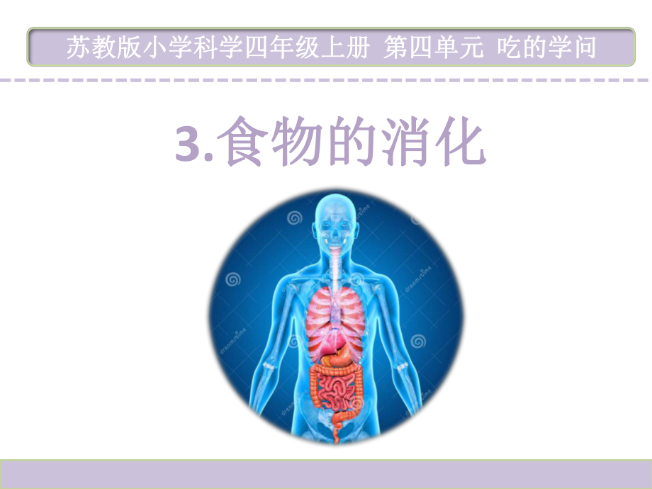 四年级上册科学课件-3《食物的消化》苏教版.ppt_第2页