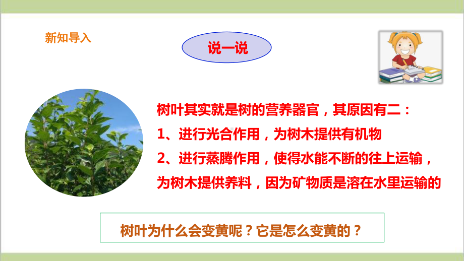 (新教材)苏教版一年级上册科学 33 树叶变黄了 教学课件.ppt_第3页