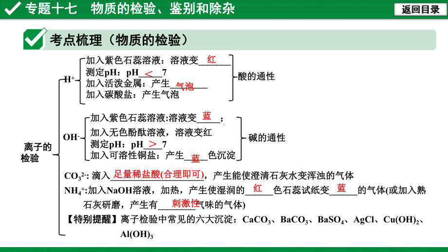 中考复习专题十七 物质的检验、鉴别和除杂课件.pptx_第3页