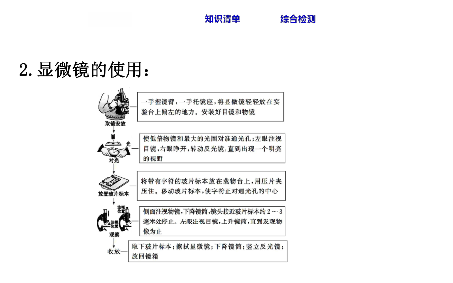 八年级生物中考复习课件之生物体的结构层次.ppt_第3页