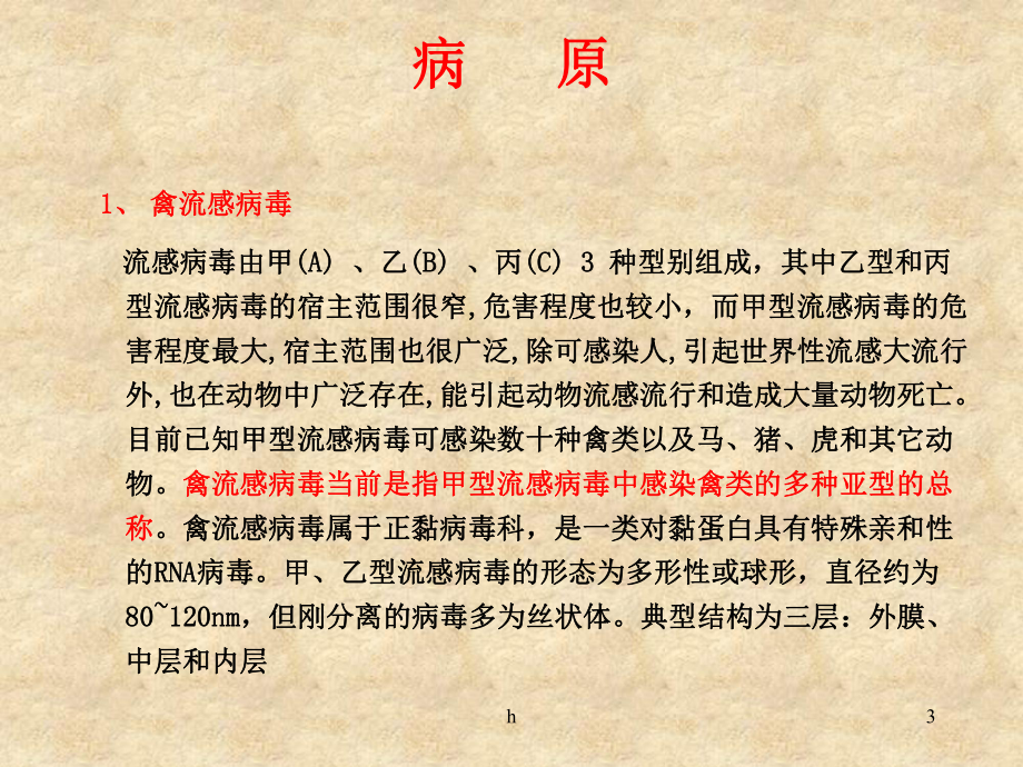 人感染高致病性禽流感课件.ppt_第3页