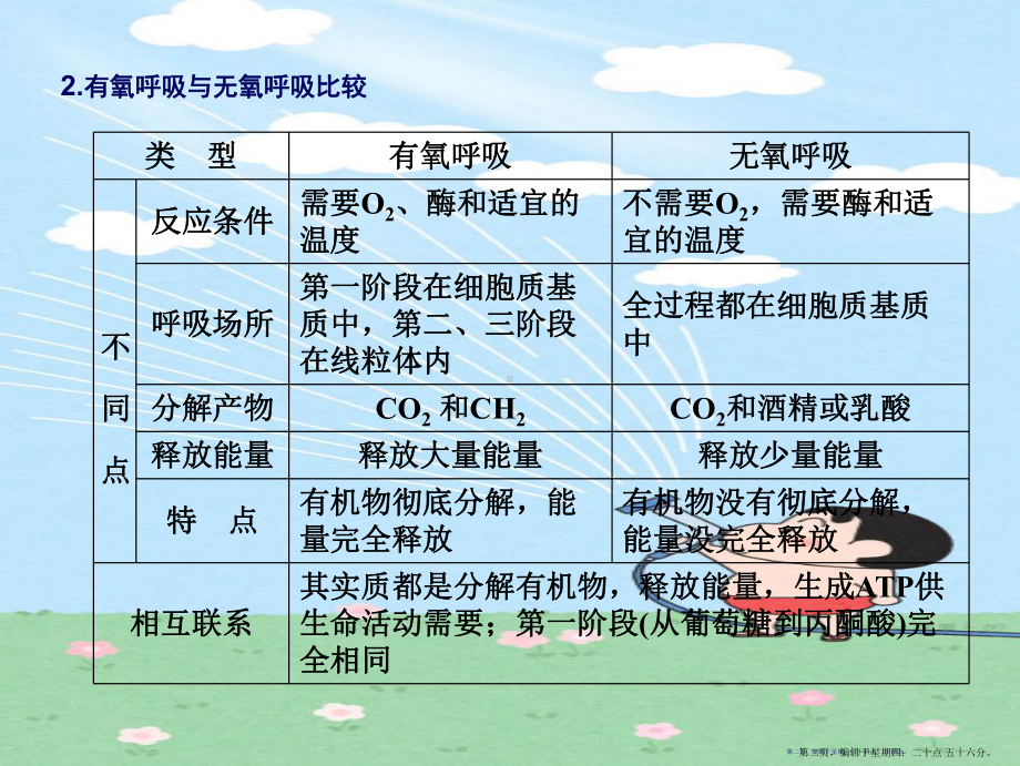 2022届高考生物一轮复习 第4章 第22讲 ATP的主要来源-细胞呼吸课件 苏教版必修1 2.ppt_第2页