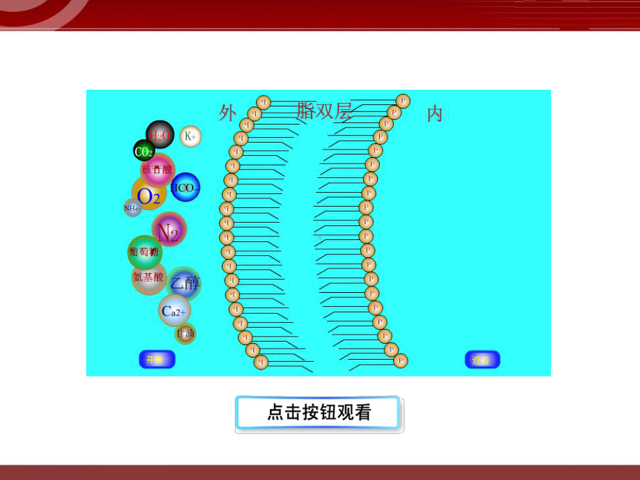 《物质跨膜运输的方式》课件.ppt_第3页