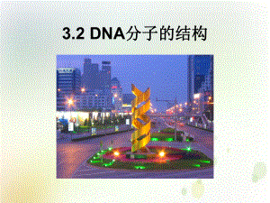 《DNA的结构》课件新教材1.ppt