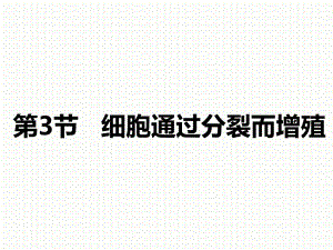 公开课课件 北师大版七上《细胞通过分裂而增殖》课件.ppt