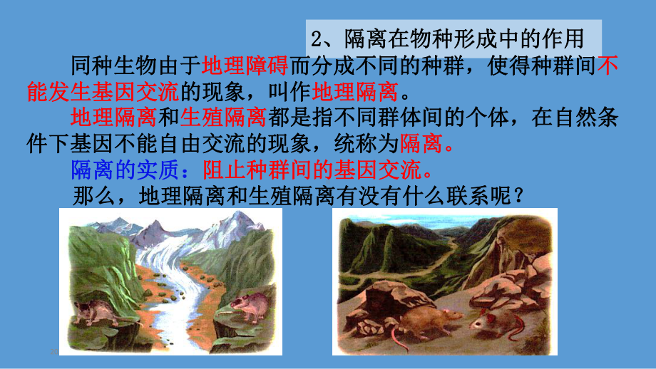 《种群基因组成的变化与物种的形成》教学课件1.pptx_第3页