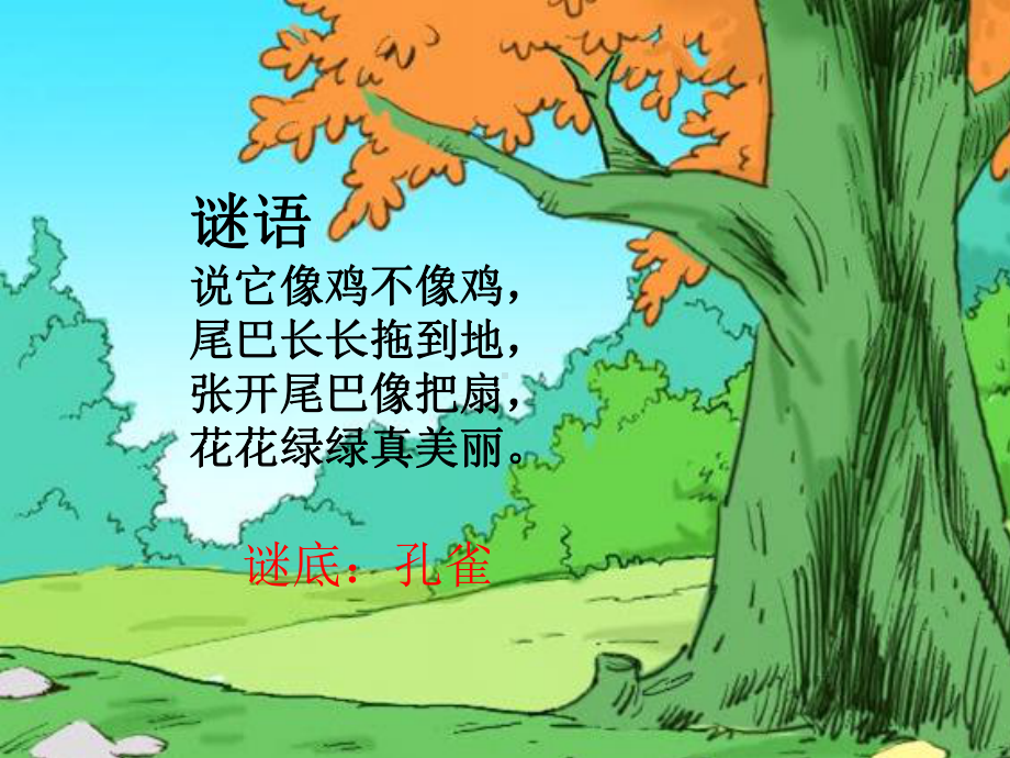 《美丽的孔雀 》(幼儿园课件).ppt_第2页