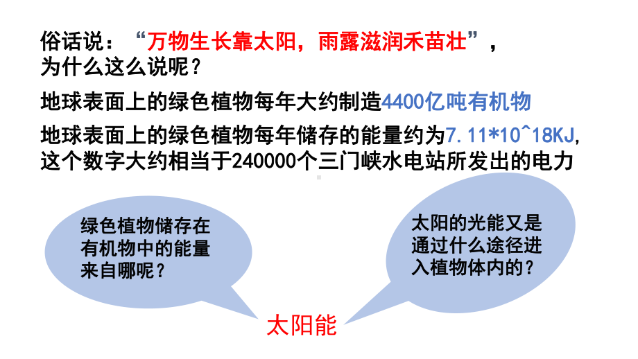 人教版新教材《光合作用的原理和应用》教学课件1.pptx_第1页