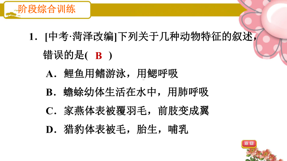 人教版八年级生物上册阶段综合训练（脊椎动物）课件.ppt_第3页