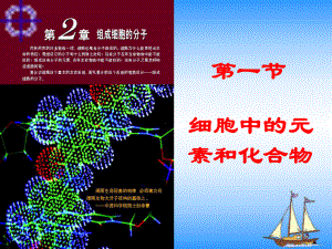 人教必修一生物：第一节细胞中的元素和化合物课件.ppt