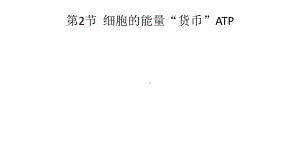 《细胞的能量“货币”ATP》高中生物人教版1课件.pptx