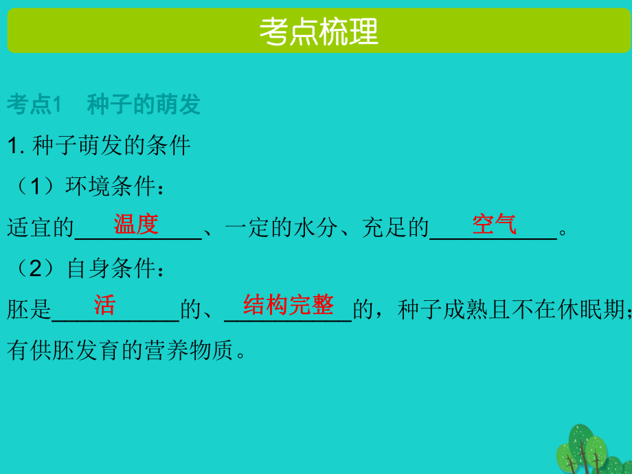 2020年中考生物复习6 《种子的萌发和植株的生长》课件.pptx_第2页