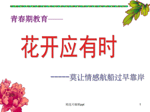 《预防早恋》主题班会课件.ppt