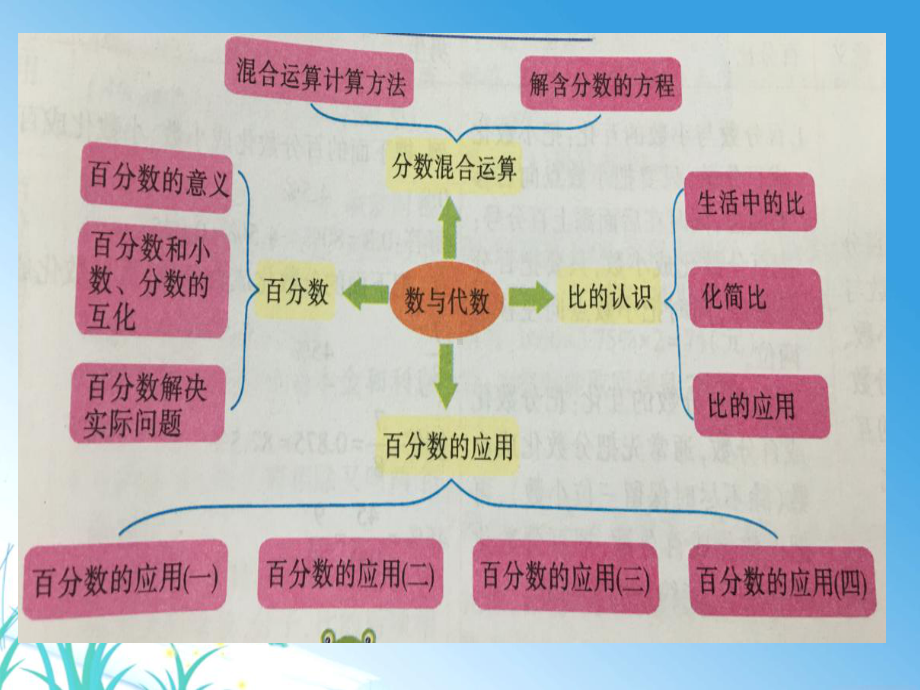 北师大版六年级上册数与代数期末复习课件.ppt_第2页