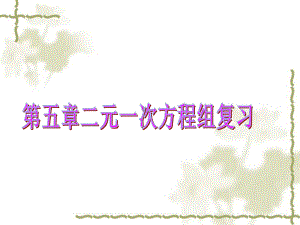 北师大版数学八年级上册课件：第五章《二元一次方程组》复习 教学课件.ppt