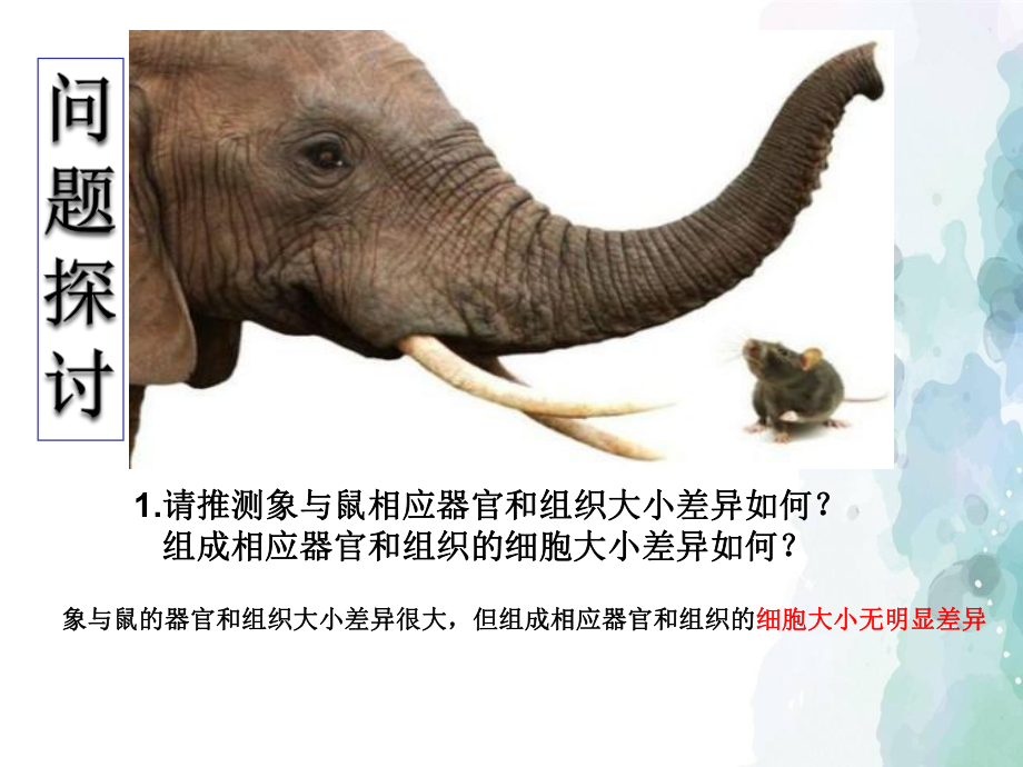 人教版生物新教材《细胞的增殖》2课件.ppt_第2页