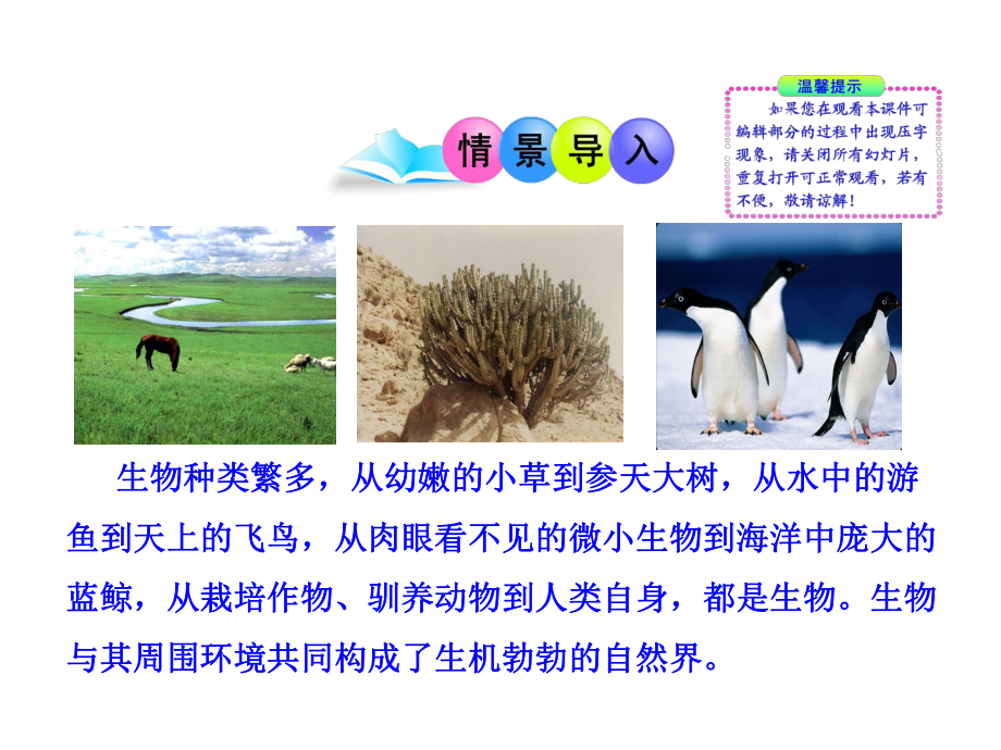 111 形形色色的生物课件 北师大七年级上.ppt_第2页