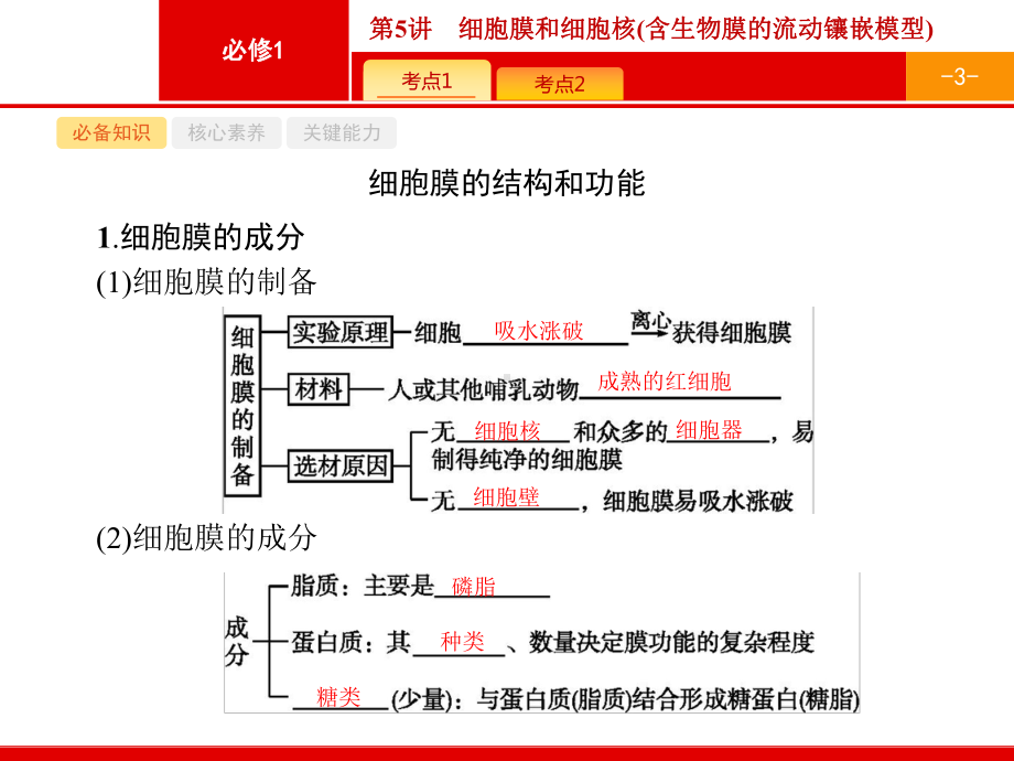 （生物新高考总复习）第5讲 细胞膜和细胞核(含生物膜的流动镶嵌模型)课件.pptx_第3页