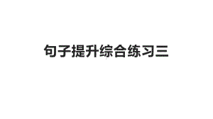 2020高考英语长难句综合提升3(课件).pptx