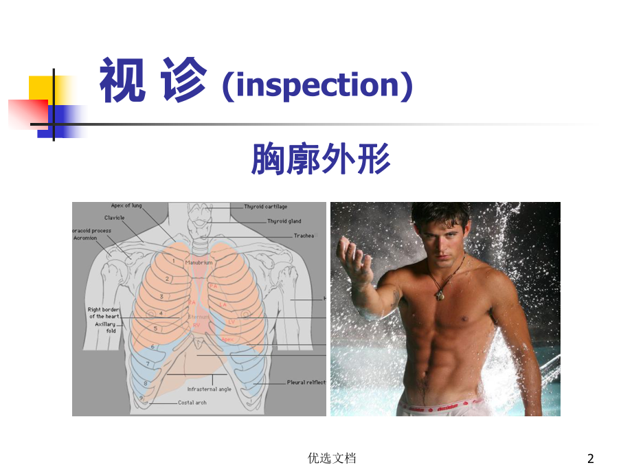 (汇总)肺部阳性体征课件.ppt_第2页