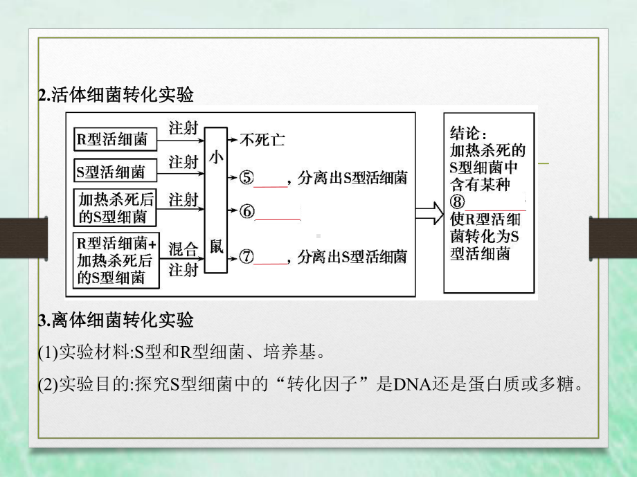 2020届高中生物一轮复习浙科版遗传的分子基础课件.ppt_第3页