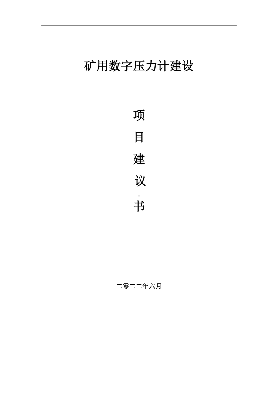 矿用数字压力计项目建议书（写作模板）.doc_第1页