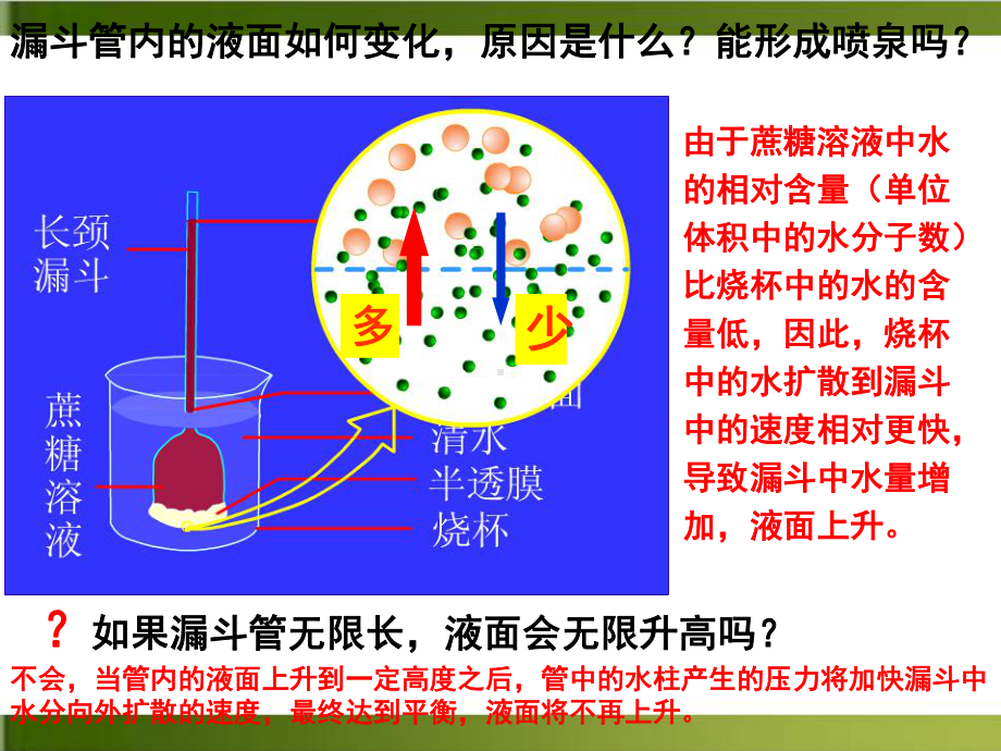 （人教版）高中生物被动运输教学1课件.ppt_第3页