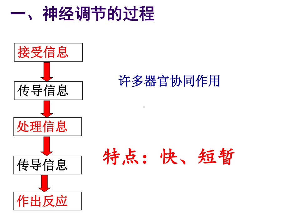 八年级上《神经调节》新教材浙教版2课件.ppt_第2页