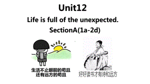 2020—2021学年人教版英语九年级全册课件 Unit 12Section A (1a 2d).pptx(课件中不含音视频素材)