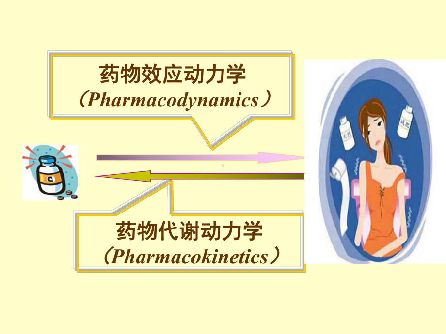 临床药物代谢动力学课件.ppt_第3页