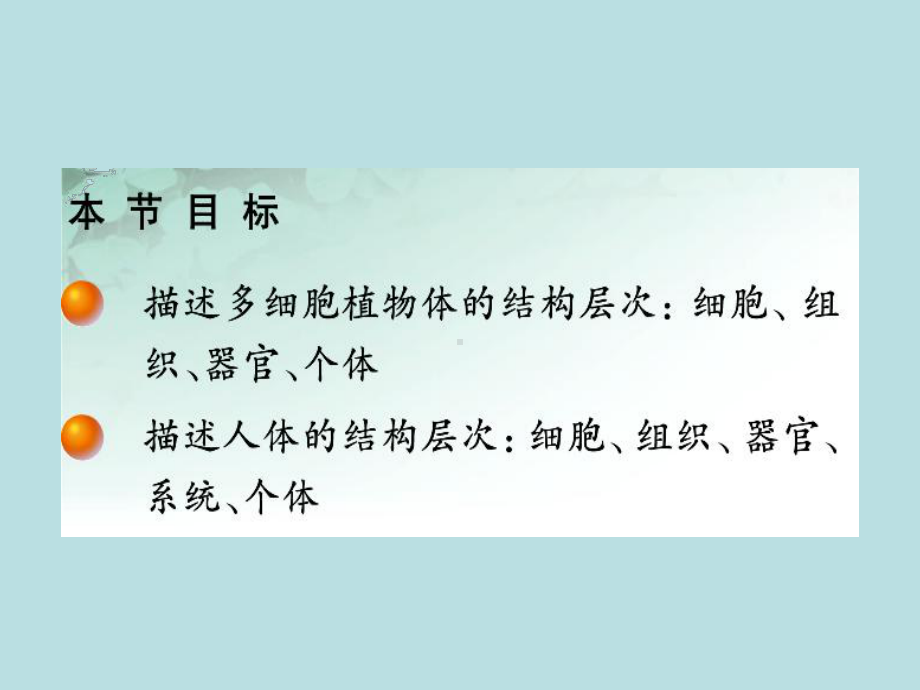 42 生物体的器官、系统课件(北师大版七年级上).ppt_第2页