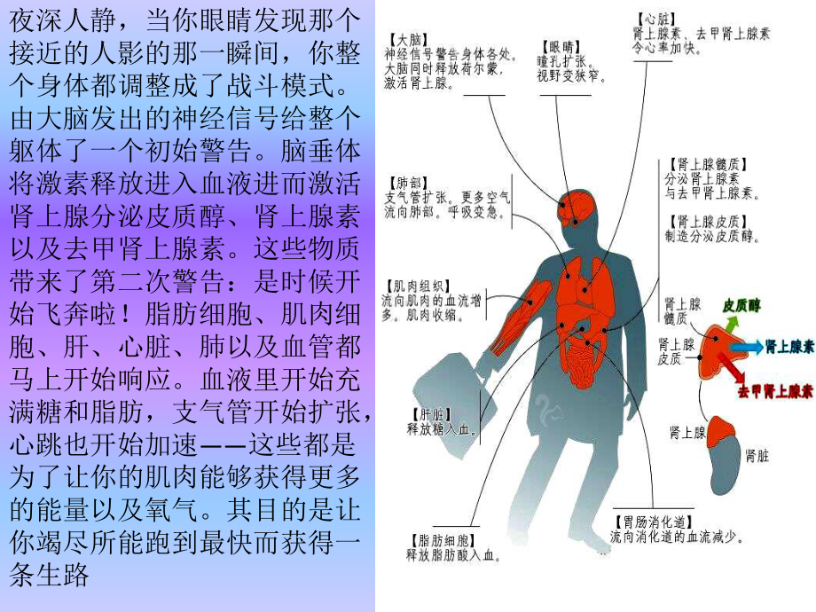 《激素与内分泌系统》 人教版1课件.pptx_第1页