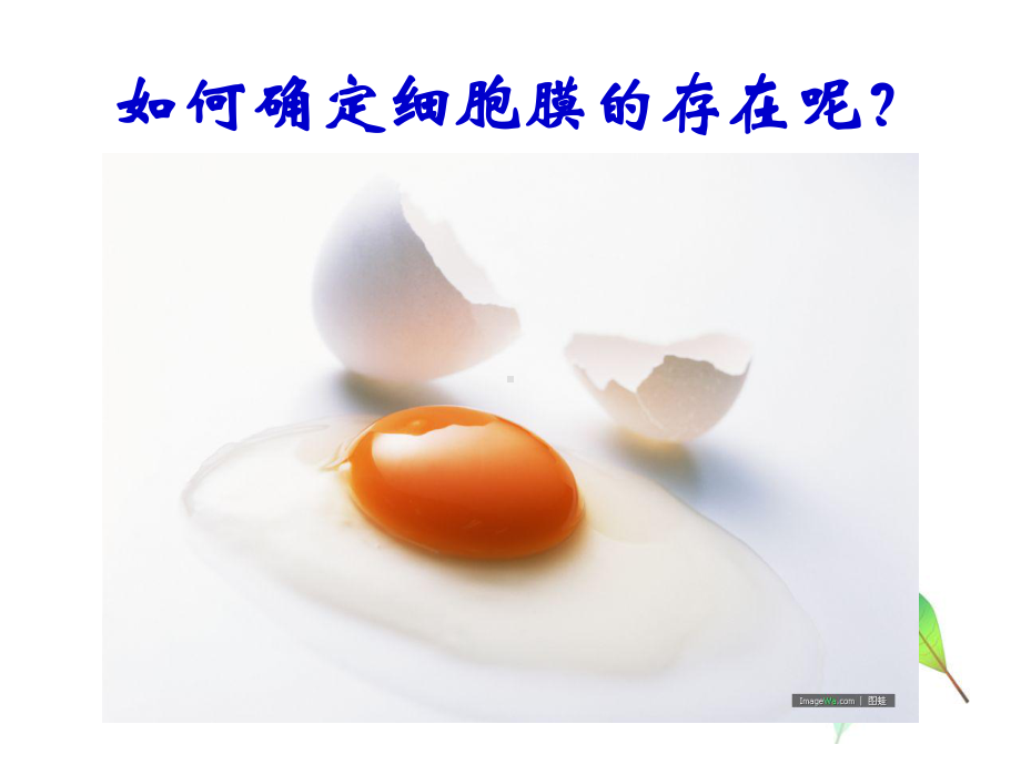 32细胞膜系统的边界课件.ppt_第3页