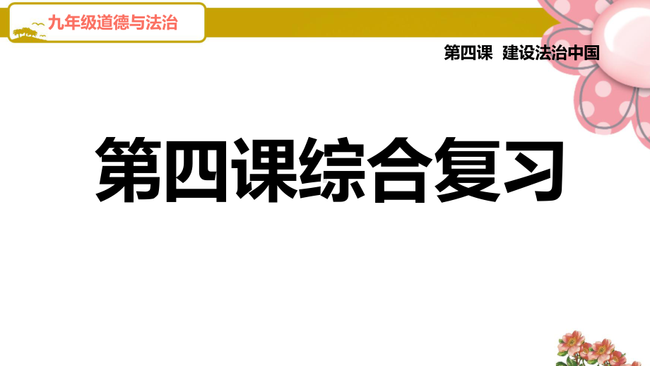 (河北专版)道德与法治九年级上册《第四课综合复习》课件(人教部编版).ppt_第1页