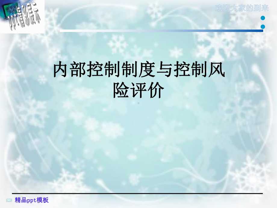 内部控制制度与控制风险评价课件.ppt_第1页